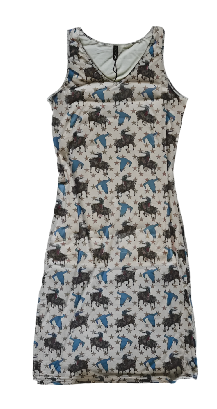 Rodeo Star Mesh Dress